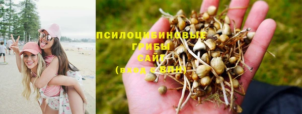 винт Козловка