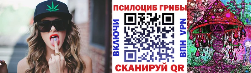 это состав  где купить наркоту  Дятьково  Галлюциногенные грибы Psilocybe 