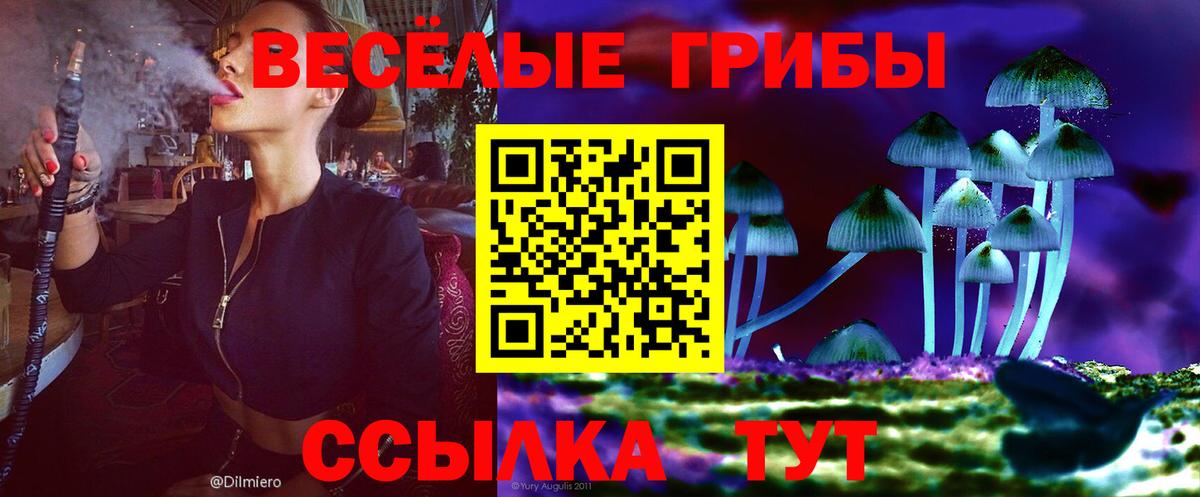 Псилоцибиновые грибы ЛСД  наркота  Дятьково  Вход с VPN 