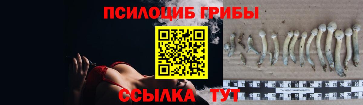 Альфа ПВП Дятьково